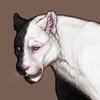[Jaglion] Chimera (Black/white)